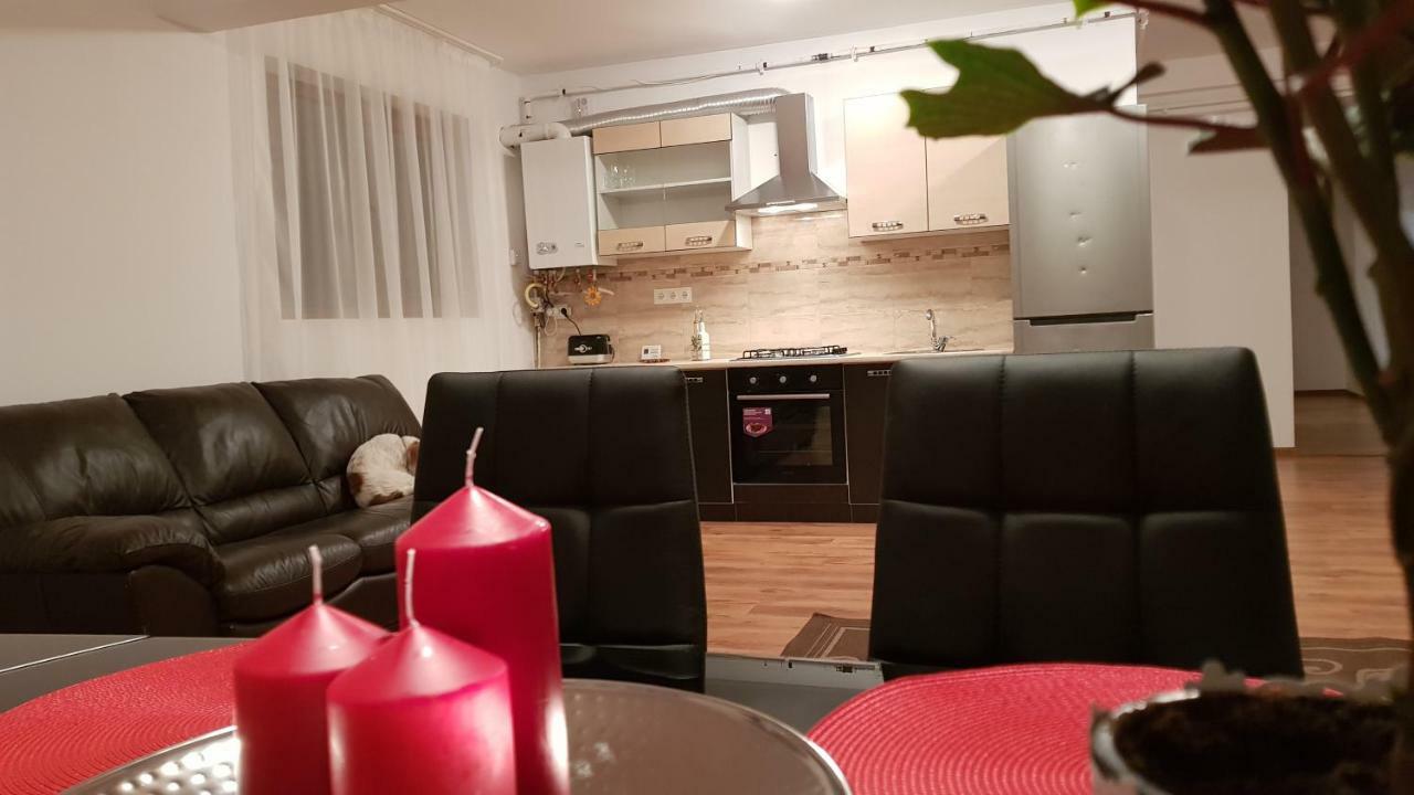 Gloria Apartament Apartment Baia Mare Exterior photo