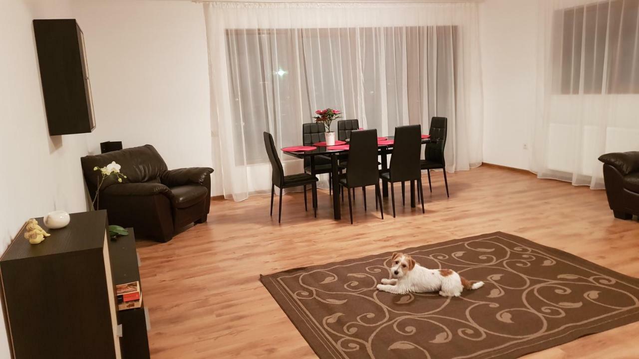 Gloria Apartament Apartment Baia Mare Exterior photo